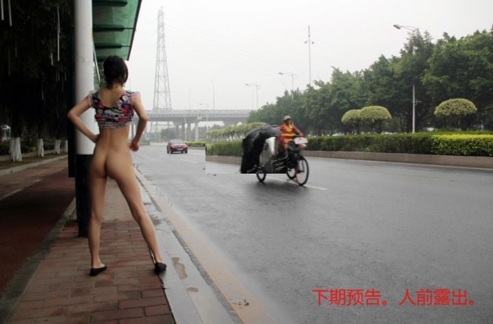 Gallery image 272