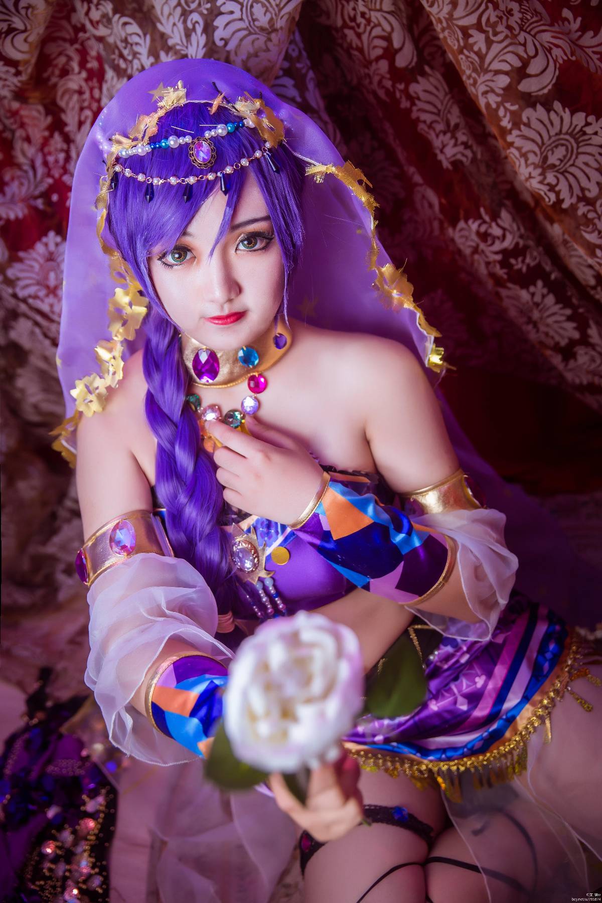 Gallery image 262