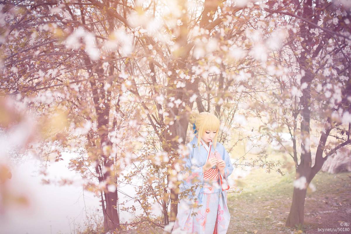 Gallery image 323