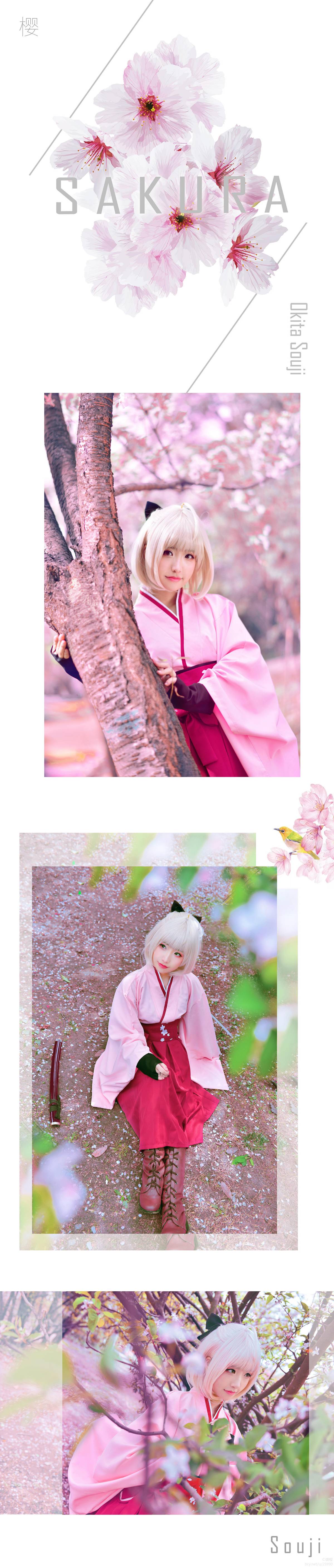 Gallery image 251