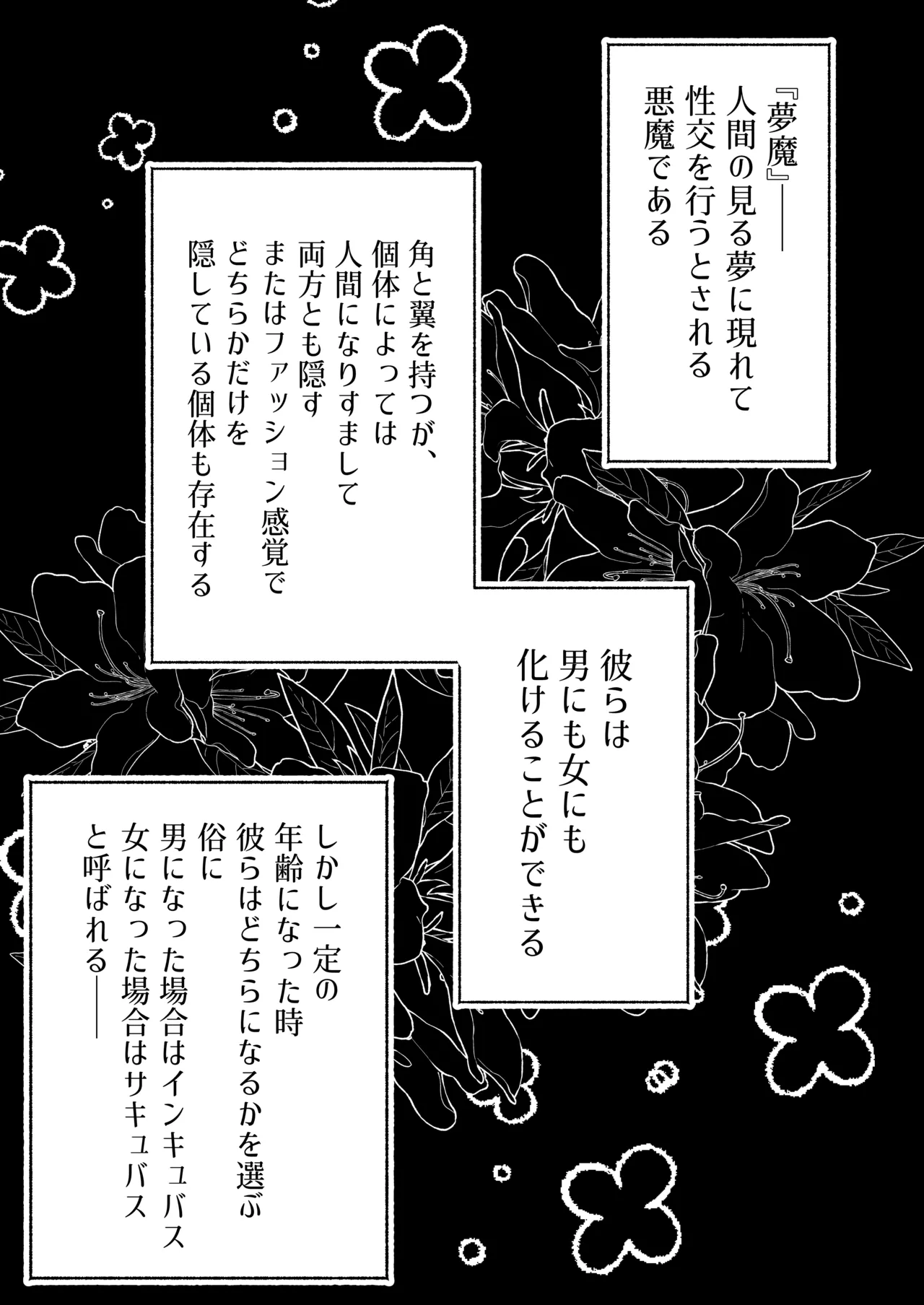 Gallery image 184