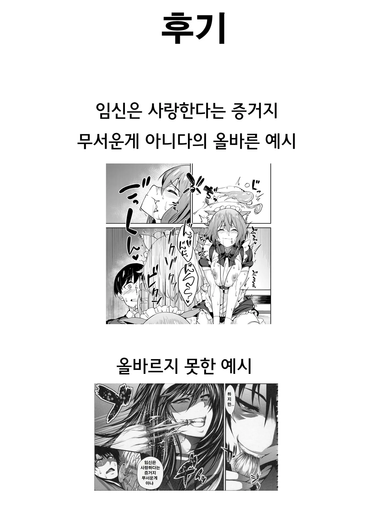 Gallery image 61