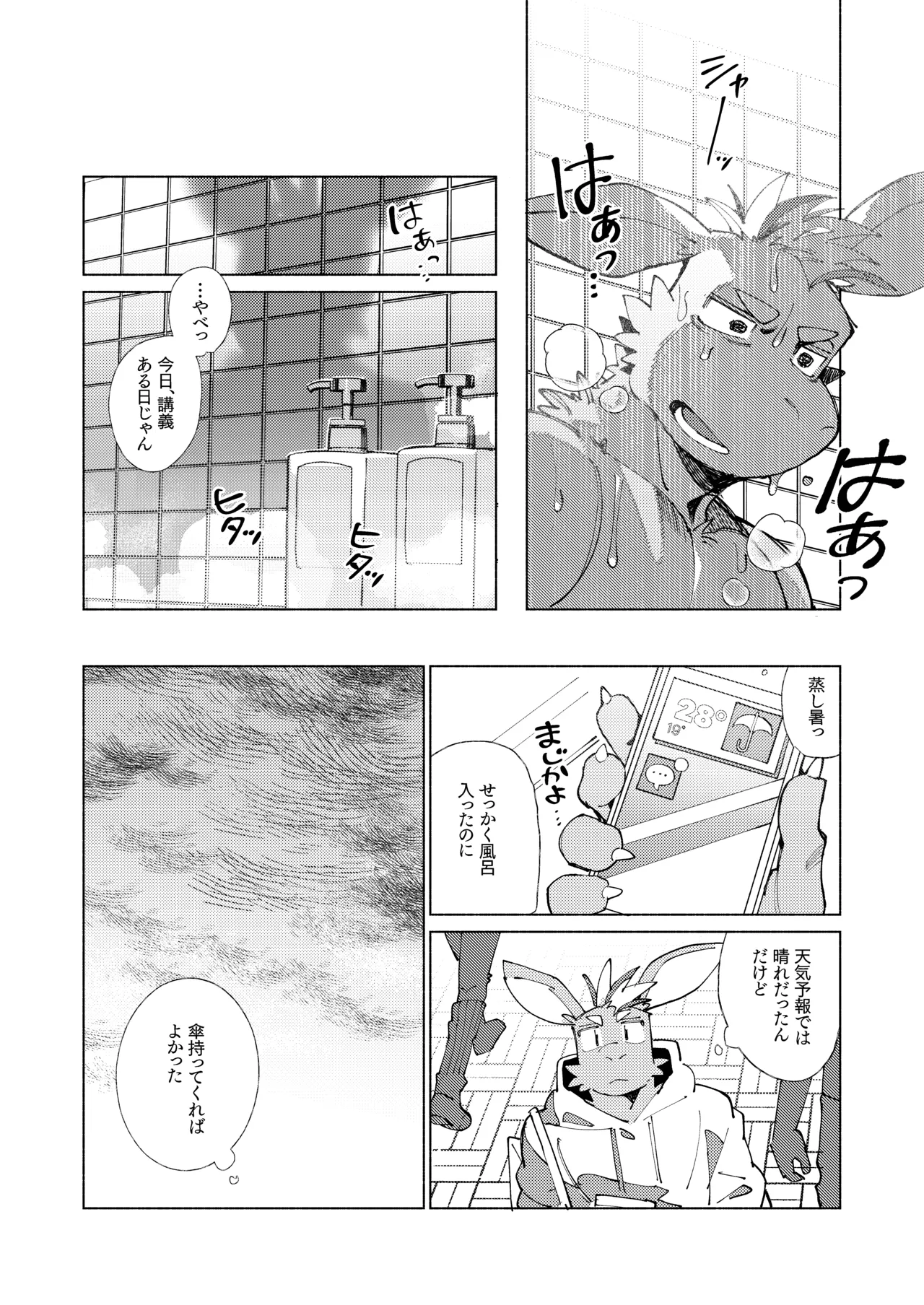 Gallery image 10