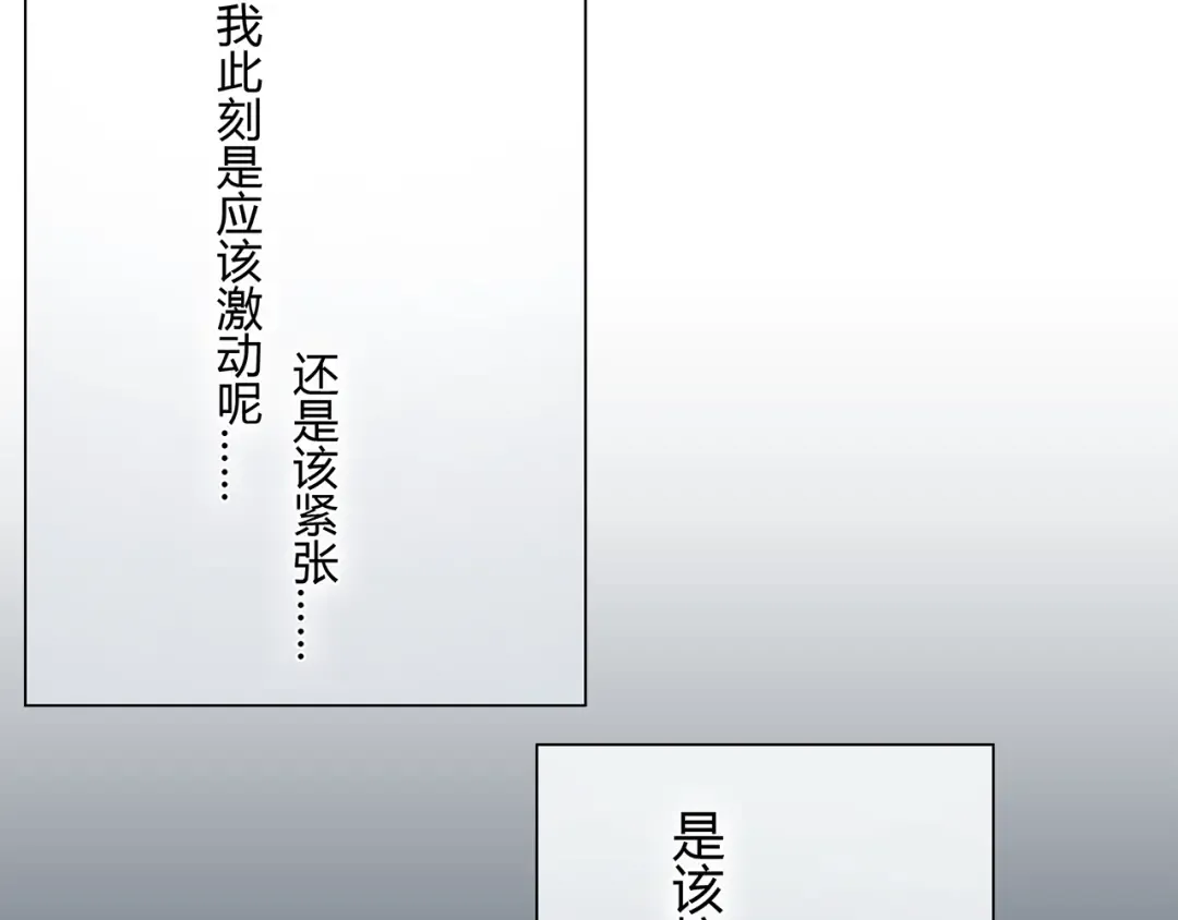 Gallery image 43