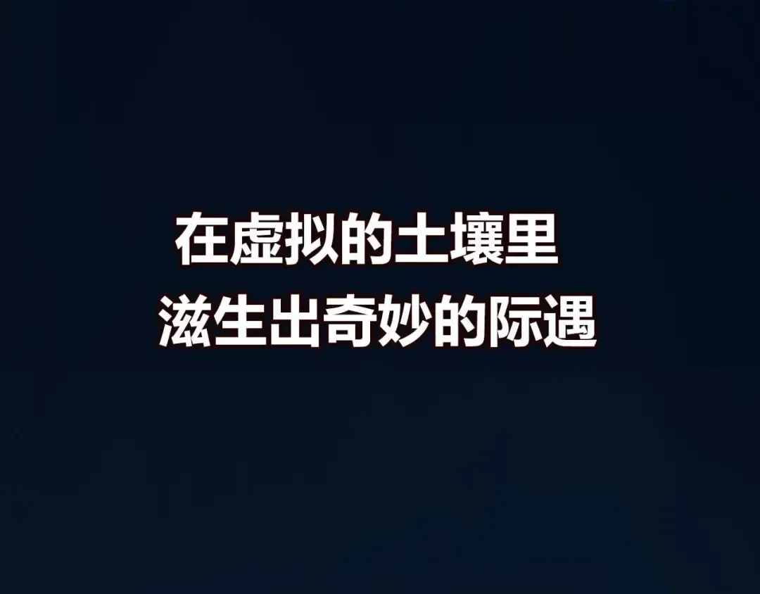 Gallery image 28