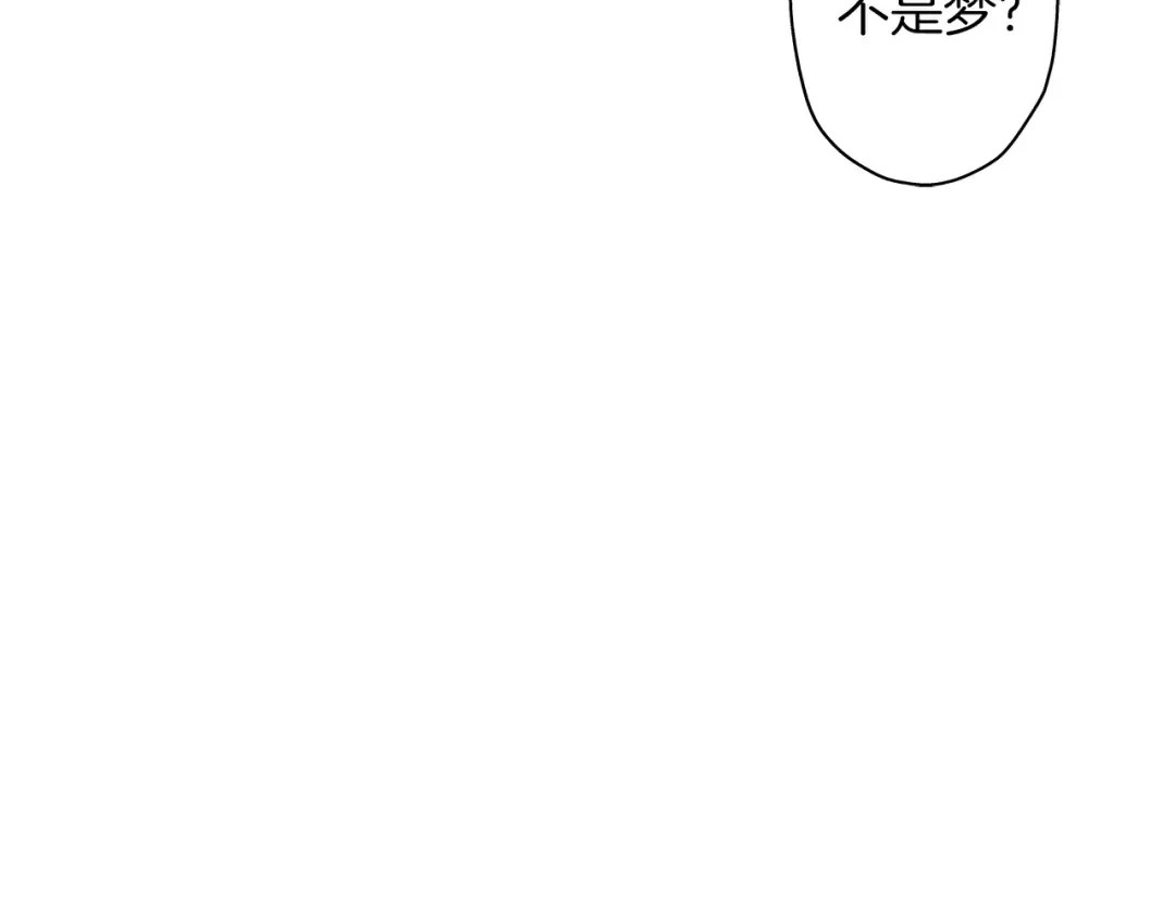 Gallery image 262