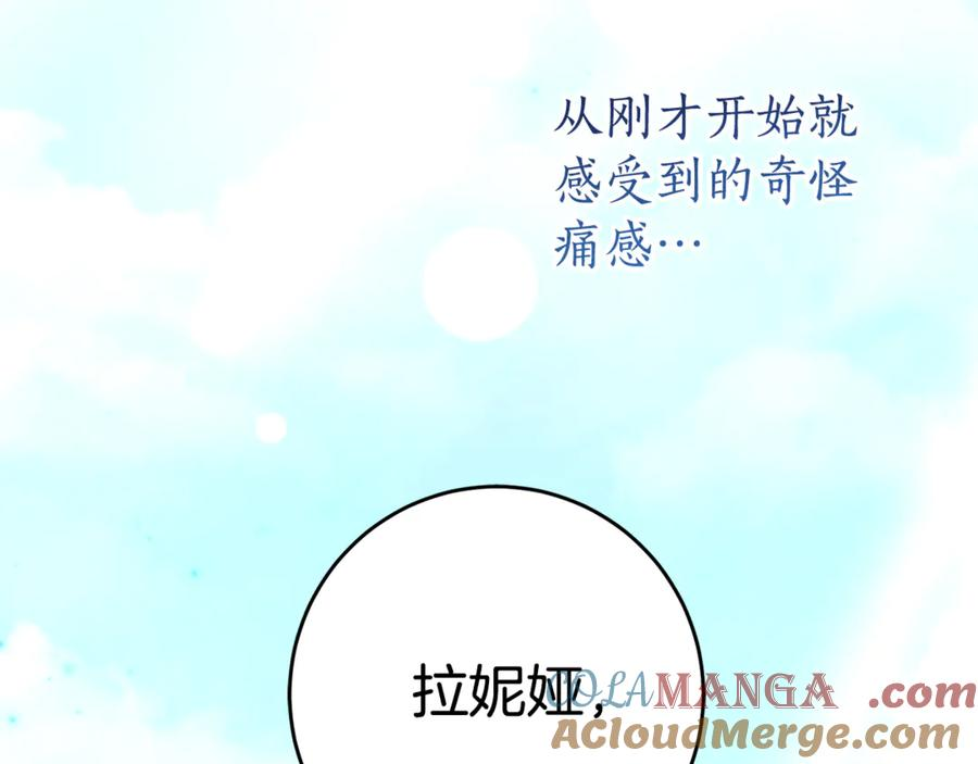 Gallery image 233