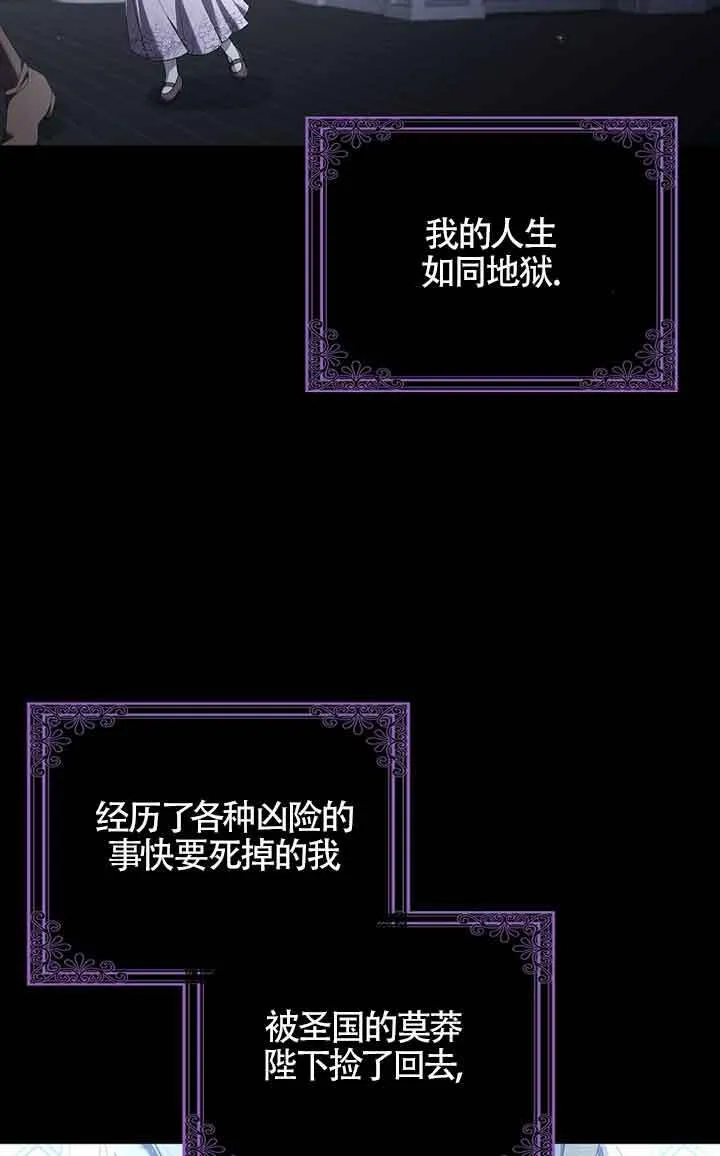 Gallery image 46