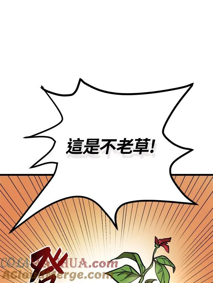 Gallery image 69